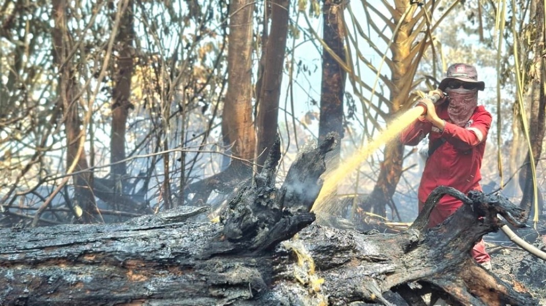 BMKG Deteksi 603 Hotspot di Sumatera: Riau Tembus 87 Titik Panas, Pelalawan Tertinggi