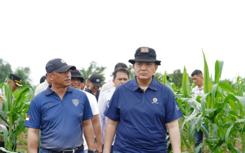 Dukung Program Presiden, Kapolda Riau Tinjau Lahan Ketahanan Pangan di Kampar