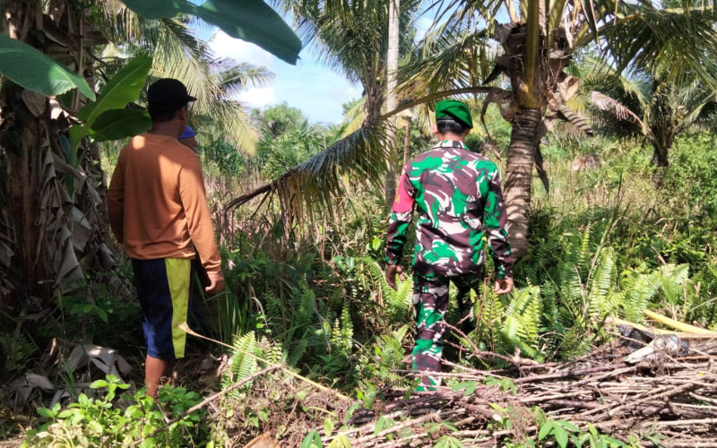 Patroli di Wilayah Rawan, Upaya Babinsa Bukit Timah Cegah Karhutla