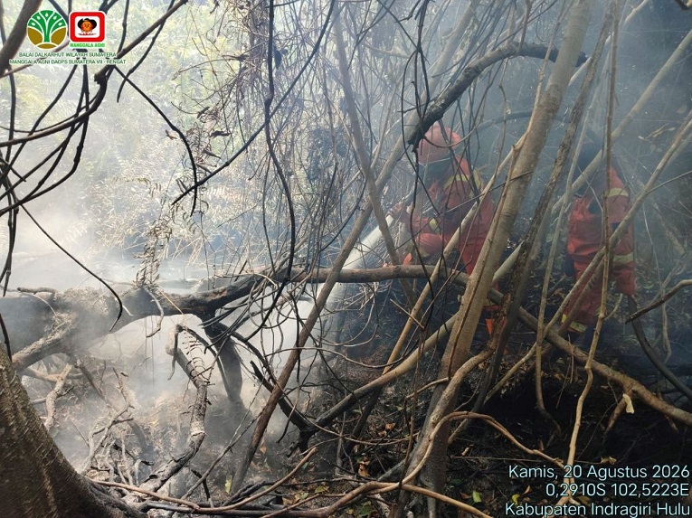 Sumatera Membara Tembus 1.104 Hotspot, Pelalawan Terbanyak, Riau Diselimuti Udara Kabur