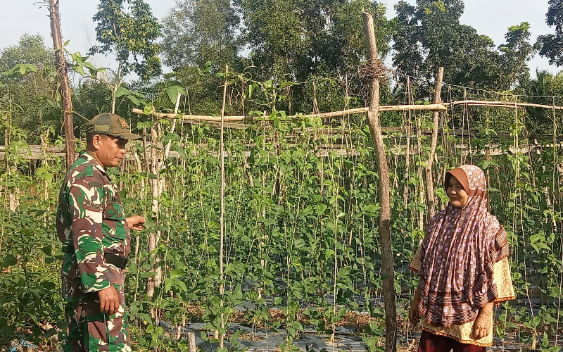 Serda Marwis Karya Nyata Pengelolaan Tanaman Kacang Panjang