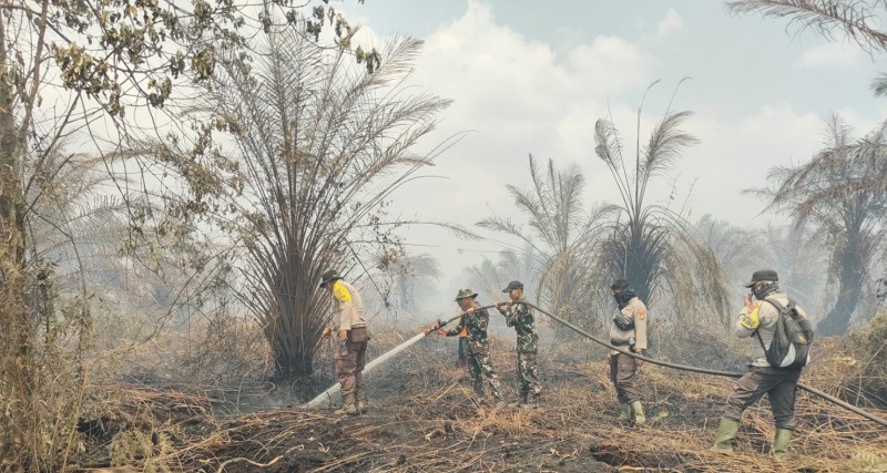 Parah! Konsesi PT TKWL Terbakar, Tentara dan Polisi Turun Tangan Padamkan Api di Bengkalis