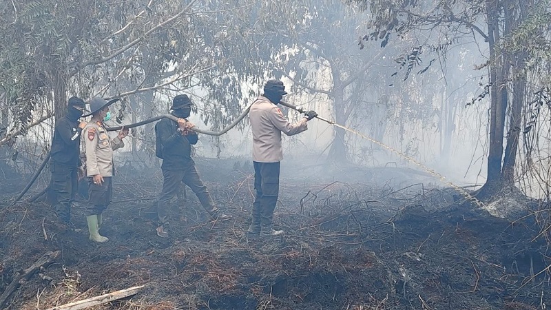 Lahan Sitaan Satgas PKH Dikelola PT Agrinas Terbakar di Inhu, Tim Gabungan Terdesak Krisis Air