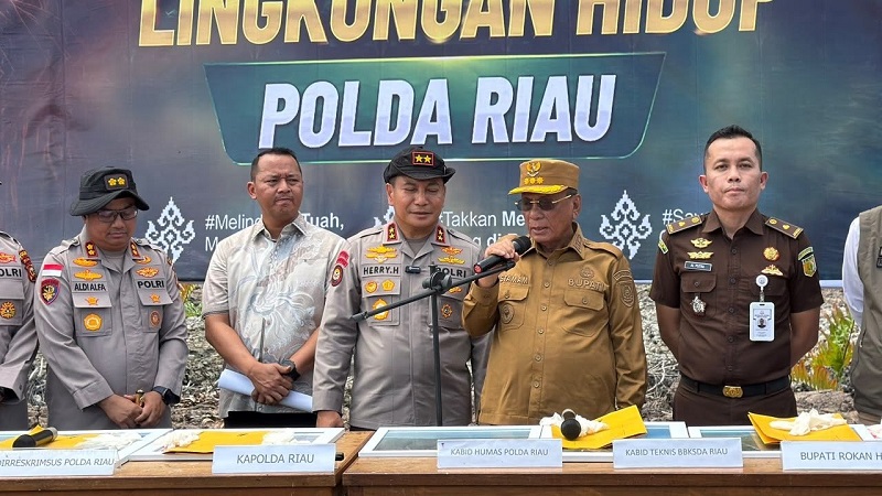 118 Hektare Mangrove Rohil Lumat Digilas Excavator, Bupati dan Kapolda Riau Naik Pitam: Jangan Lagi Dirusak!