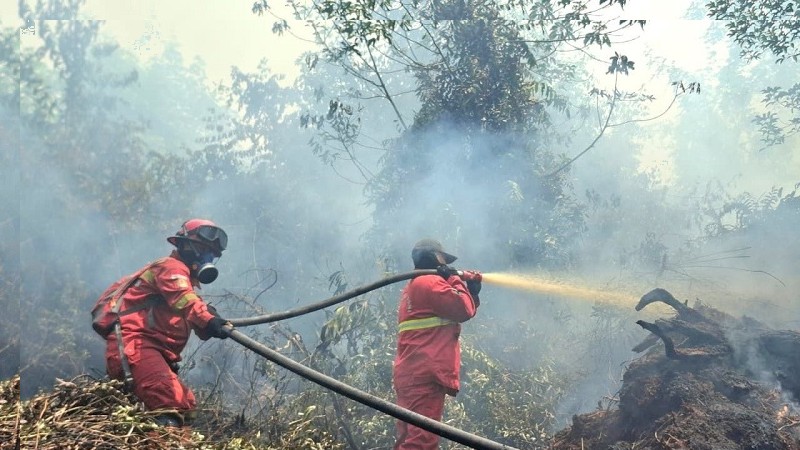 Ancaman Asap Karhutla Belum Mereda, Pekanbaru Dijejali Udara Kabur dari Pagi Hingga Malam
