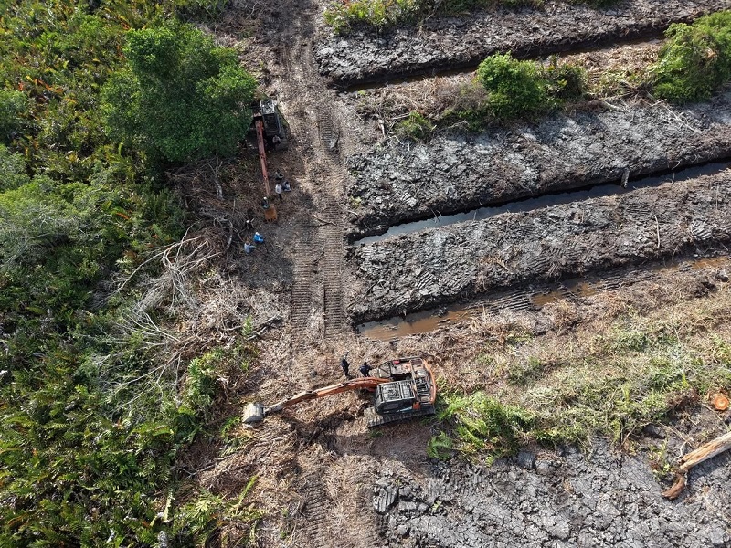 Hutan Mangrove 100 Hektar di Rokan Hilir Dijarah, Polda Riau Usut Tuntas Lewat Green Policing