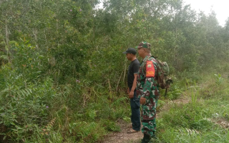 Babinsa Teluk Makmur Patroli, Antisipasi Potensi Kebakaran Lahan
