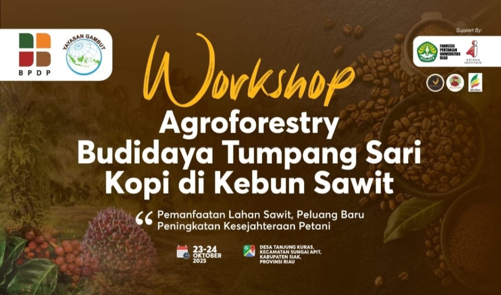 Bekerjasama dengan BPDP, Yayasan Gambut Gelar Workshop Agroforestry Budidaya Tumpang Sari Kopi di Kebun Sawit di Siak