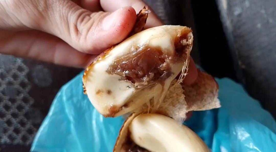 Skandal Makan Bergizi Gratis di Riau: Salak Busuk dan Berulat Ditemukan dalam Paket Siswa SMAN 7 Pekanbaru!