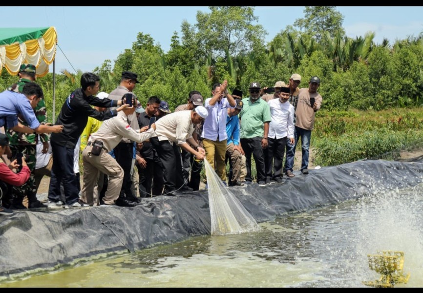 Bupati Inhil Tinjau Tambak Udang Vaname di Tanjung Apek
