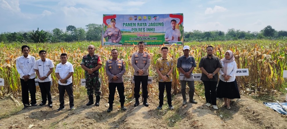 Panen Jagung Pipil Sukses, Kapolres : Polisi Hanya Pendorong, Direktur : Terimakasih Sudah Dilibatkan