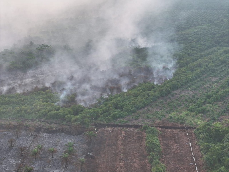 Riau Mulai Diselimuti Udara Kabur! BMKG Deteksi 1.031 Hotspot Sumatera, Inhu Masih Membara
