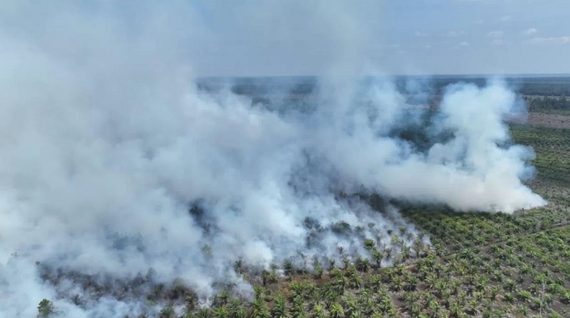 Karhutla  di Siak Api Berkobar di Cagar Biosfer Giam Siak Kecil