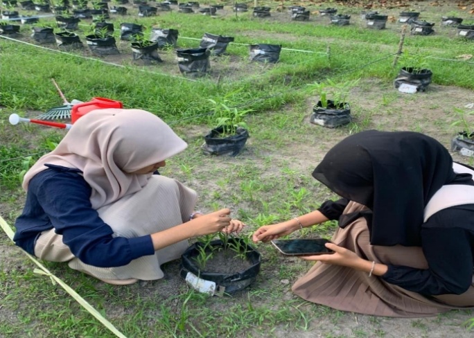 Ketika Lingkungan Menjadi Ruang Belajar: Tantangan dan Peluang Pedagogi Hijau di Sekolah