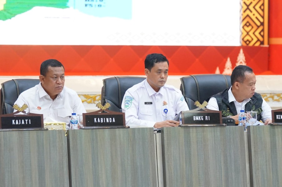 BMKG Pastikan Asap Karhutla Tidak Sampai ke Negara Tetangga