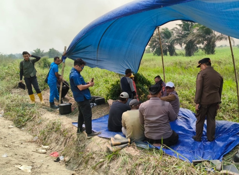 Api Melanda Tiga Hektare Lahan Gambut Rantau Baru, Bupati Zukri Turun ke Lapangan