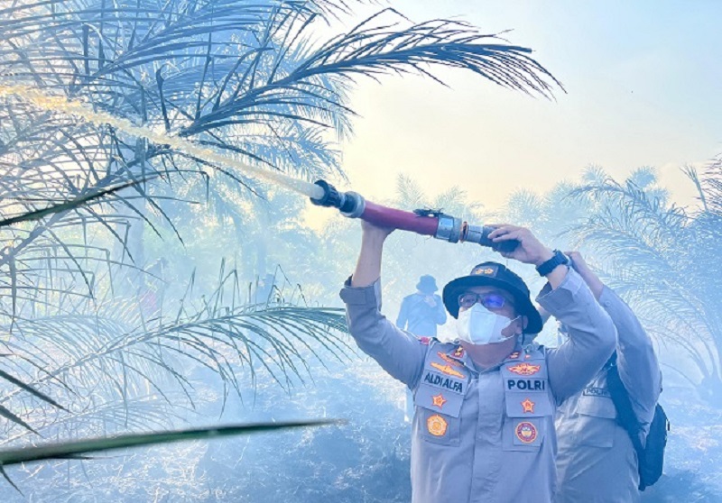 Asap Membumbung Bakar Kebun Sawit Maruba S. Silalahi! Kapolres Rohil Ikut Nyemprot
