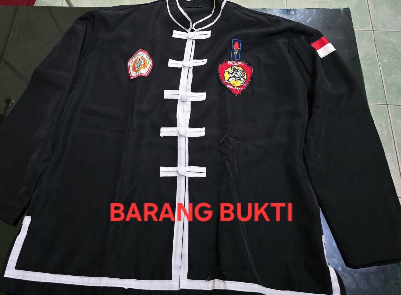 Lakukan Kekerasan, Oknum Perguruan Silat Diciduk Polisi