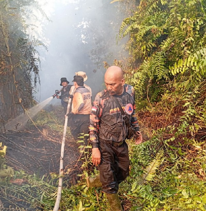 Teror Asap Tembilahan Belum Usai, 10 Hektare Lahan Gambut Inhil Terbakar 2 Kali, Bantuan Helikopter Keburu Dialihkan