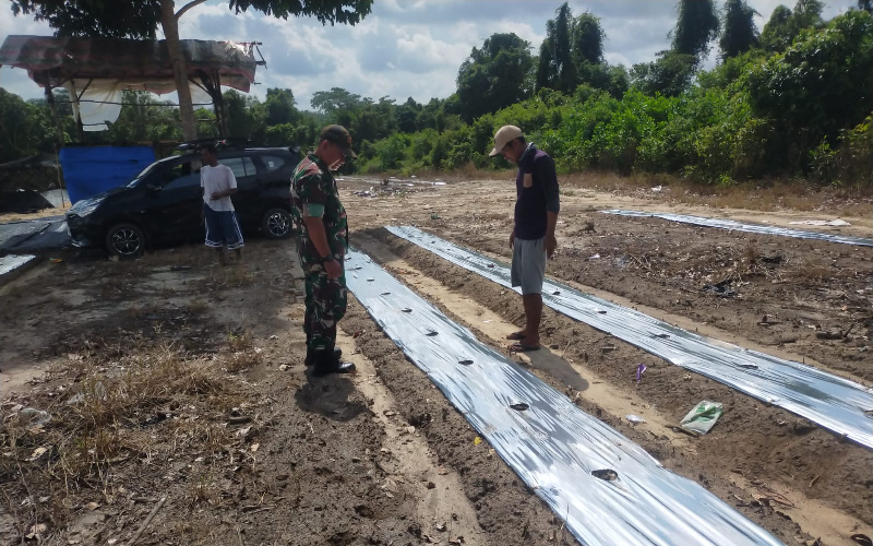 Babinsa Bagan Besar Beri Pendampingan ke Petani Semangka