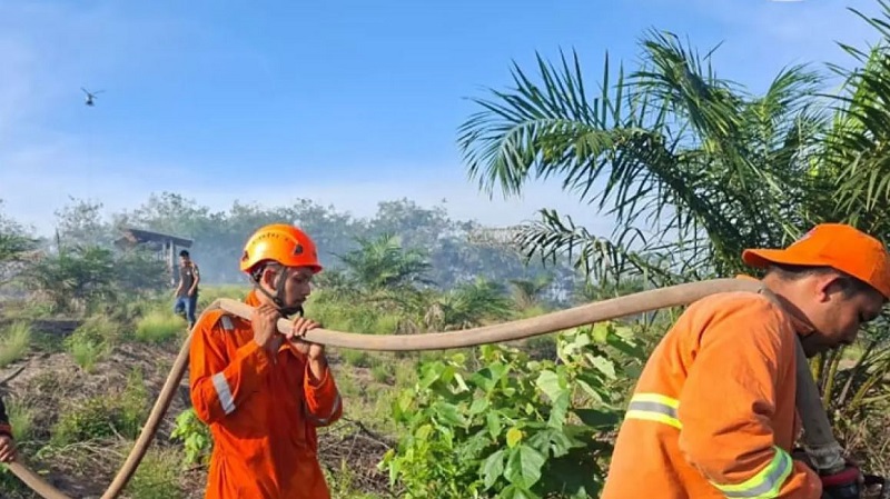 Lahan Galian Sawit dan Karet 4,5 Hektare di Kampar Terbakar, Petugas Kepung Medan Bukit