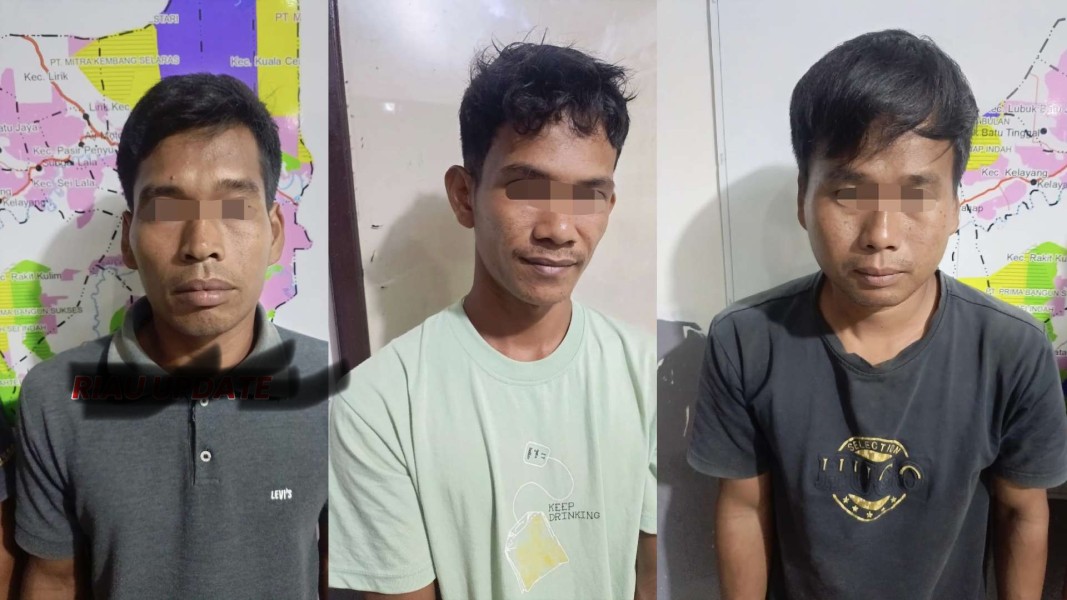 Diduga Angkut Kayu Olahan Hutan Polres Inhu Tangkap Pelaku