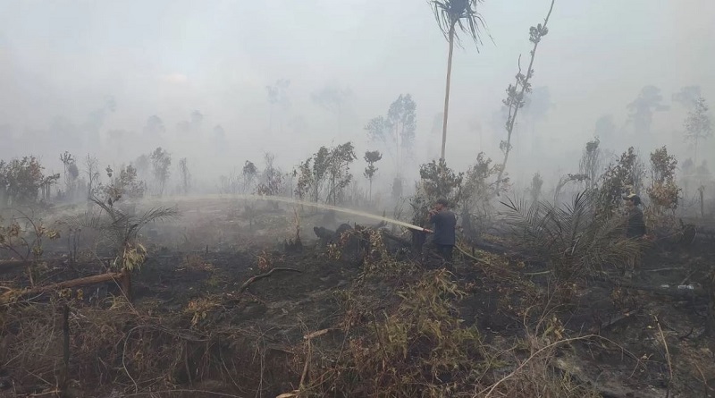 Riau Membara, Korporasi Melenggang, Utang Denda Karhutla Rp500 Miliar Belum Tertagih!