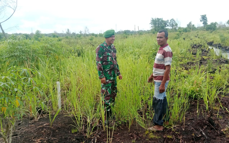 Gandeng Masyarakat, Babinsa Rutin Lakukan Patroli di Wilayah Tanjung Palas