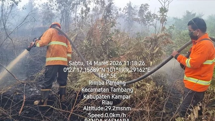 Kampar Dikepung Bencana Ganda: Gambut Membara 6 Hari, Badai Tumbangkan Pohon!