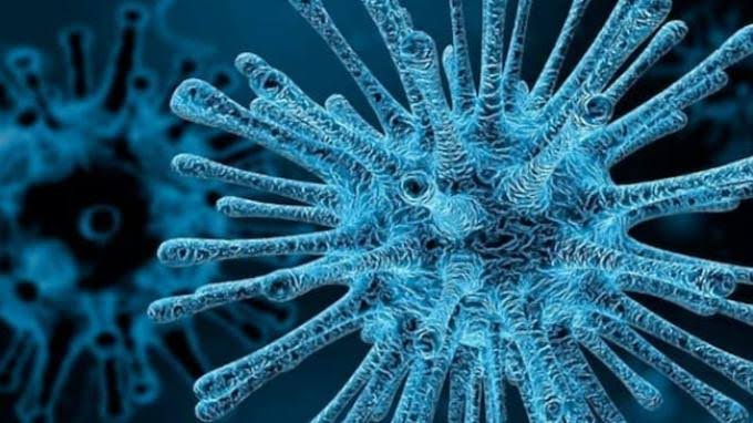 Epidemiolog Tegaskan Virus HMPV Tidak Berpotensi Jadi Pandemi