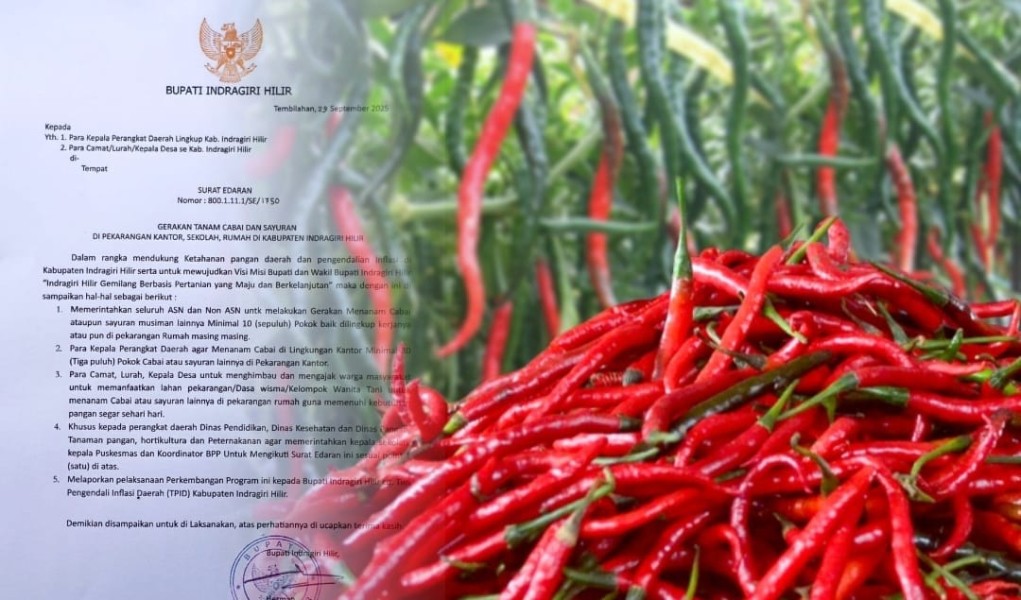 Tekan Laju Inflasi, Bupati Inhil Terbitkan Surat Edaran Gerakkan Menanam Cabai