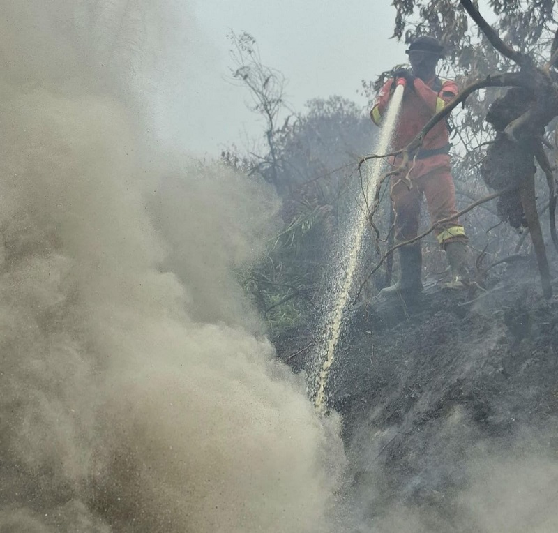Meski Tadi Malam Sudah Turun Hujan, Sumatera Masih Membara 1.620 Titik Panas, Udara Masih Berkabut