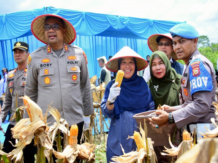 Wujudkan Swasembada Pangan Nasional, Pemkab Kampar dan Polres Panen Raya Jagung Pipil di Ridan Permai