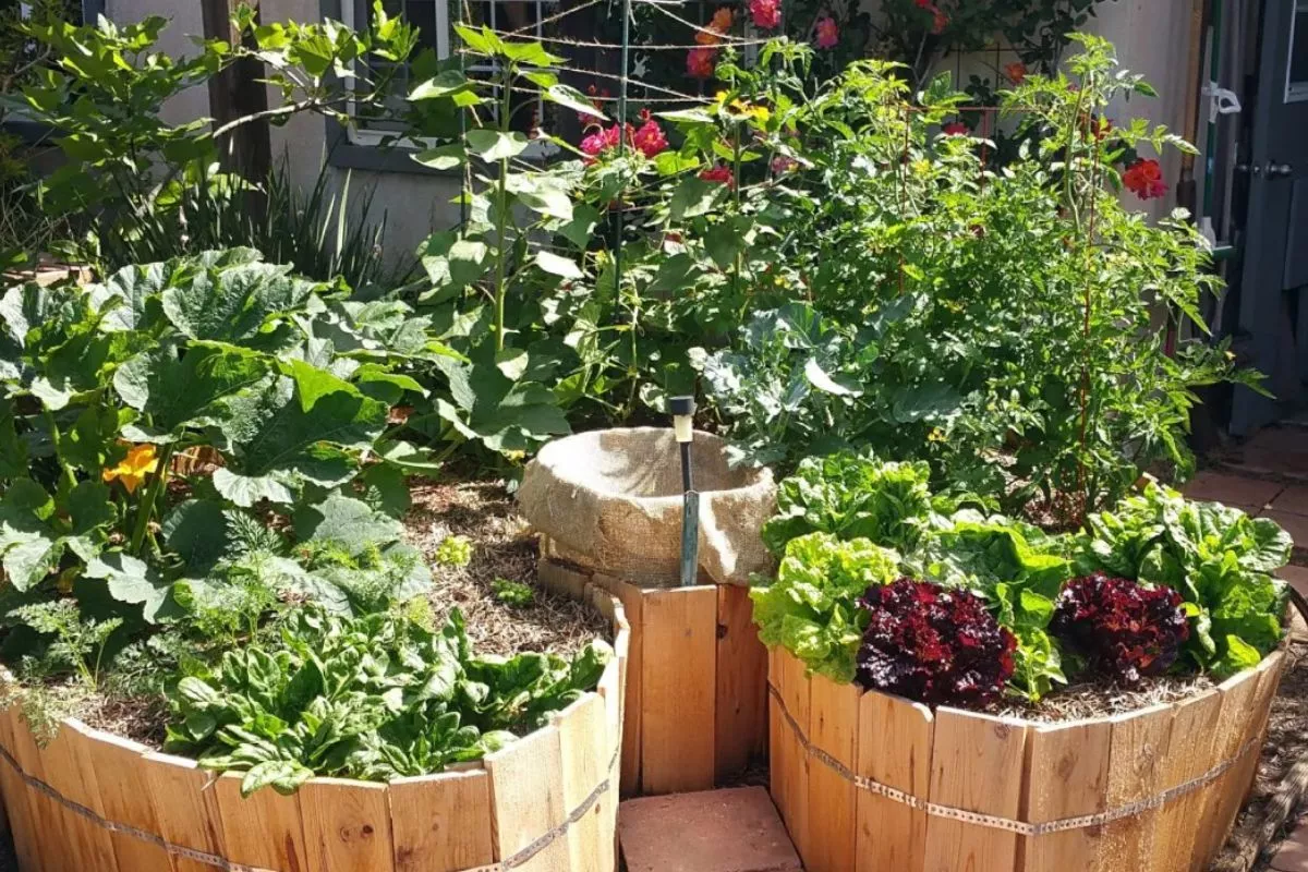 Gila! Kebun Mini Estetik Modal Nol Rupiah, Ini Rahasia Kreatifnya