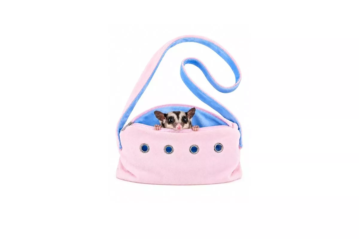 Awas Menyesal! Ini Rahasia Memilih Bonding Pouch yang Nyaman