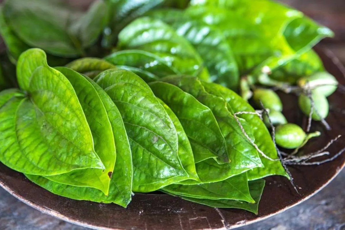 Tips Racik Daun Sirih dan Tawas untuk Atasi bau dan Ketiak Basah