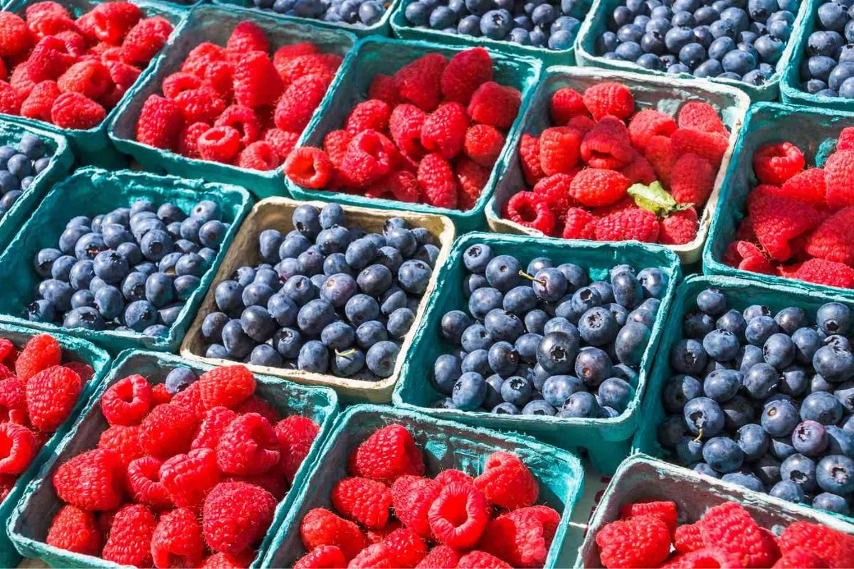 5 Manfaat Buah Beri untuk Kulit: Rahasia Alami Wajah Glowing