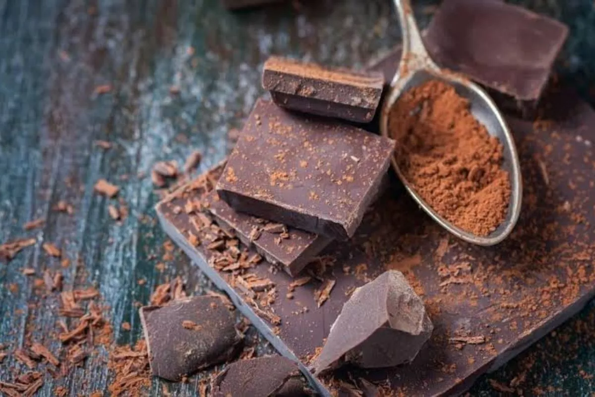 Rekomendasi Merk Cokelat Bubuk dan DCC Bagus untuk Brownies Premium 