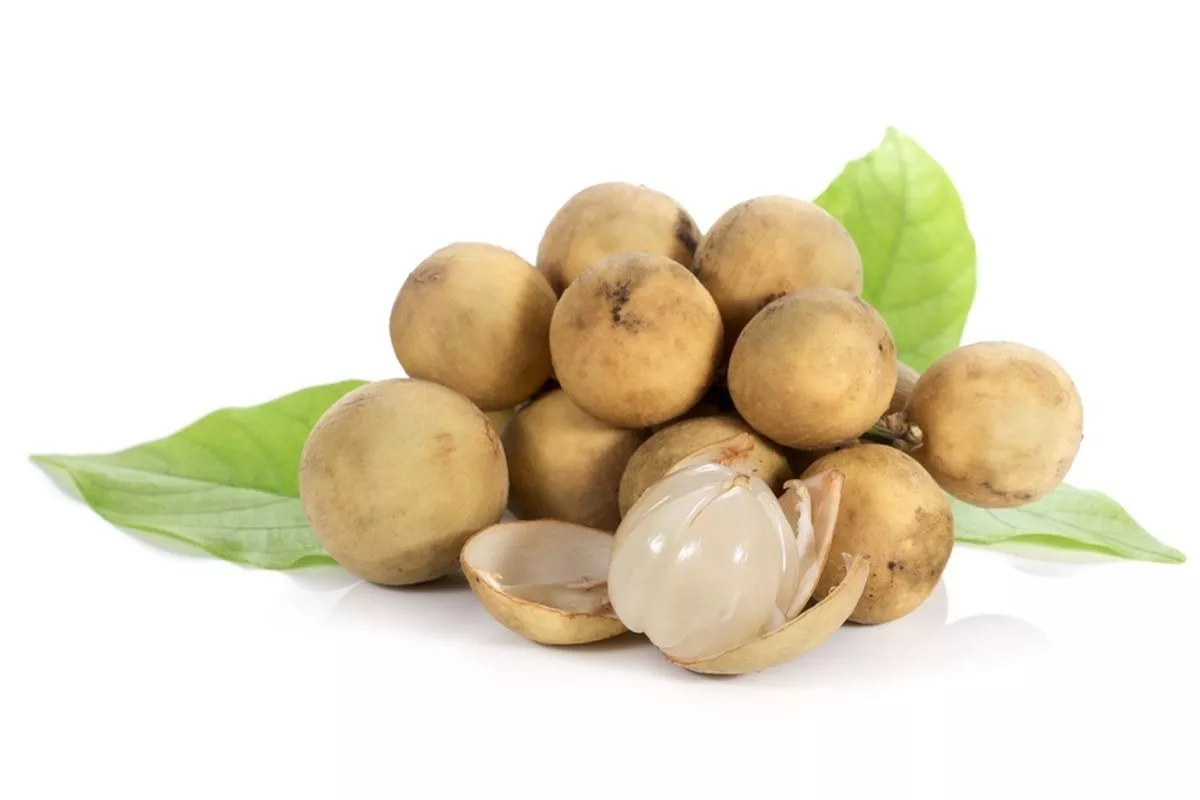 Kandungan Nutrisi Buah Duku per 100 Gram: Apa Saja Khasiatnya?