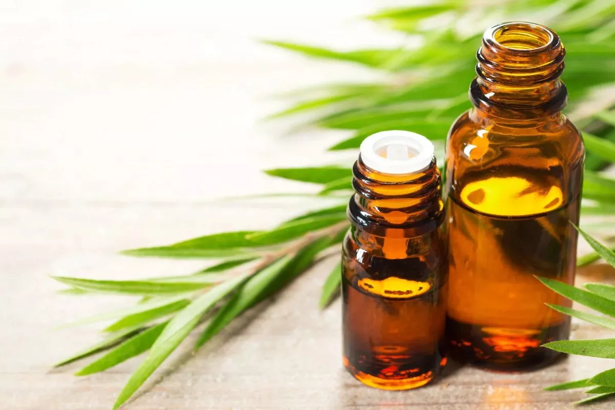Kulit Melepuh? Ini Cara Aman Menggunakan Tea Tree Oil untuk Jerawat!