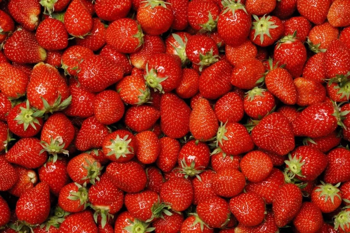 7 Variasi Olahan Strawberry Selain Selai yang Mudah Dibuat di Rumah