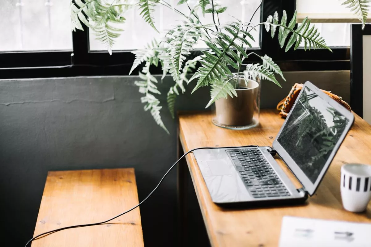 Penyebab Laptop Cepat Panas Overheat dan Cara Mengatasinya