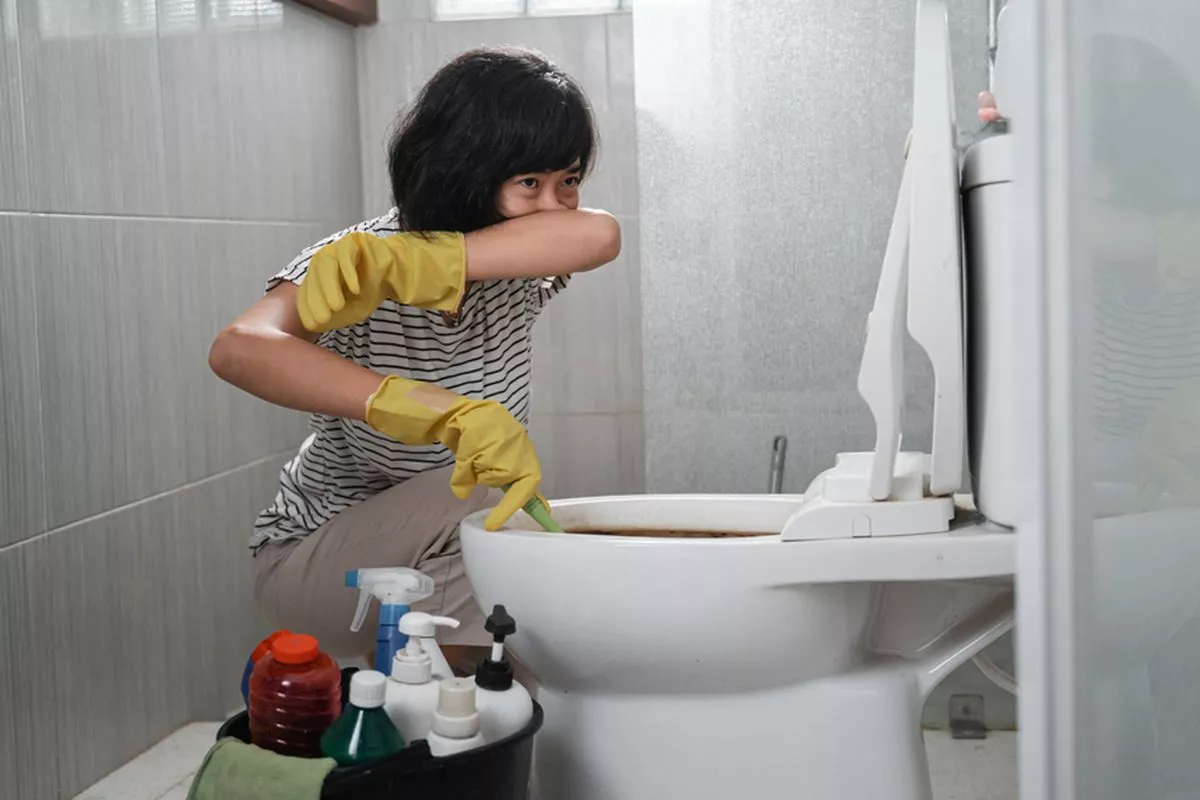 Cara Menghilangkan Bau Tak Sedap di Kamar Mandi Alami