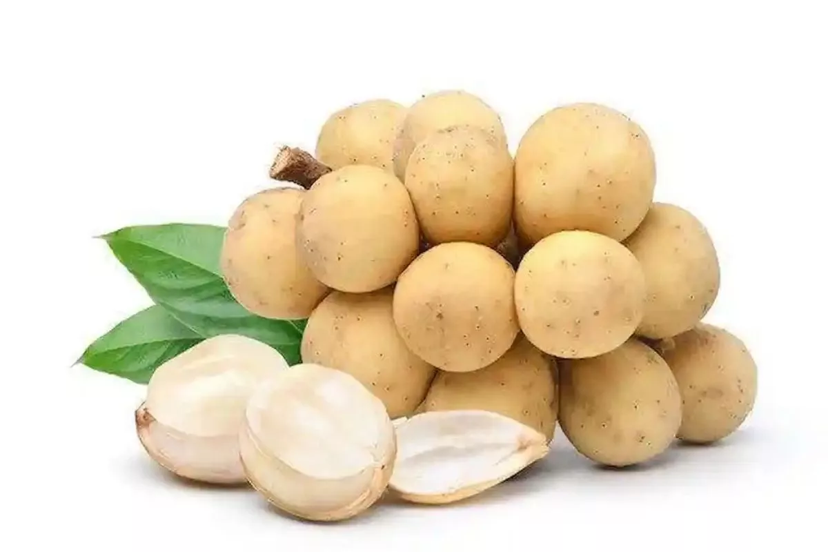 Mengapa Duku Baik untuk Pencernaan? Analisis Kandungan Seratnya