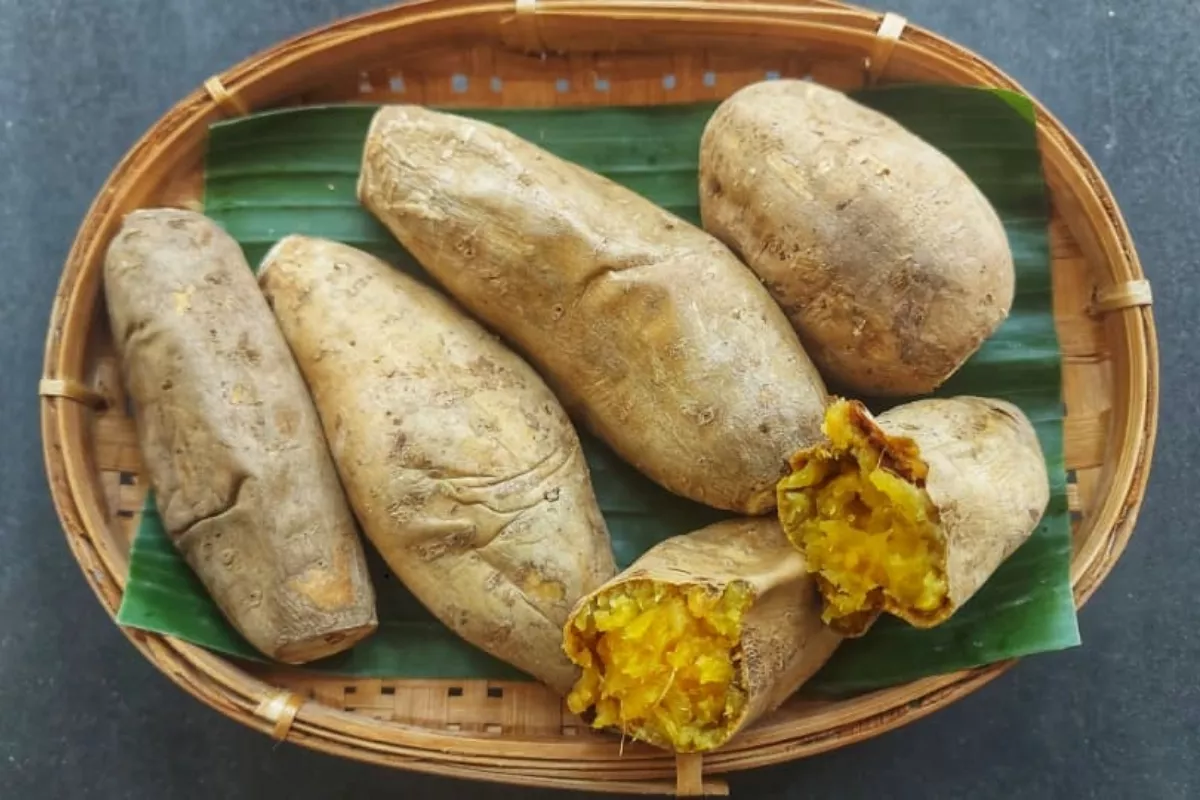 Apakah Penderita Diabetes Boleh Makan Ubi Cilembu? Simak Faktanya