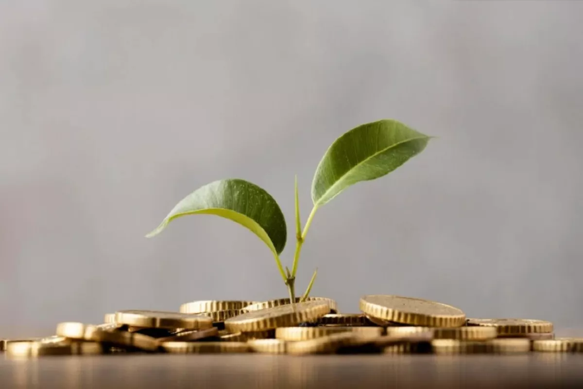 Berapa Modal Minimal Investasi Saham untuk Gen Z Pemula Cuan