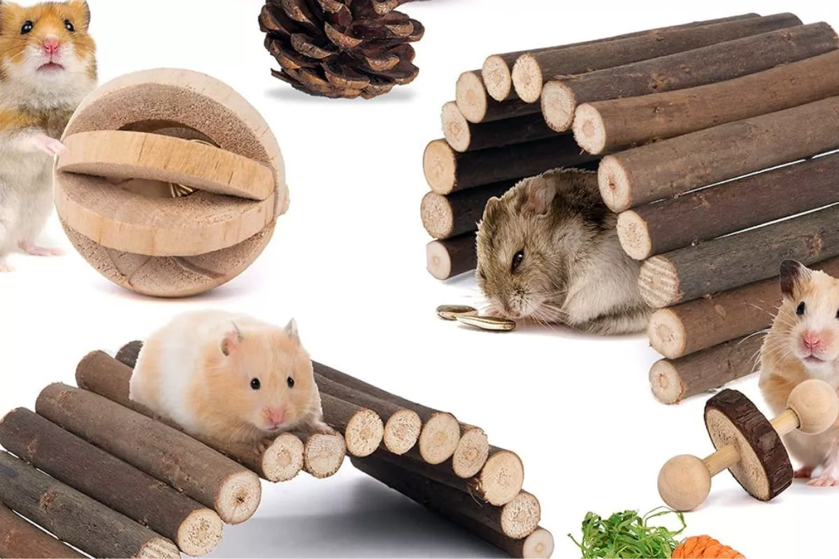Kandang Sepi Bikin Stres? Ini 7 Jenis Mainan Hamster untuk Mencegah Kebosanan!