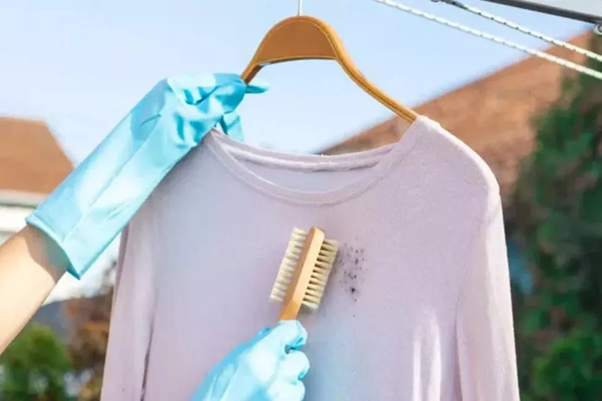 Baju Berjamur? Ini 7 Cara Menghilangkan Jamur di Baju Sampai Tuntas!