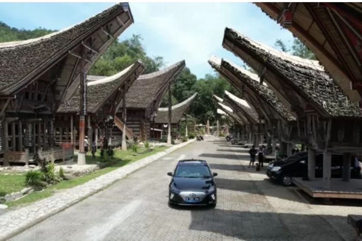 Travel Makassar ke Toraja: Rute, Biaya, dan Itinerary