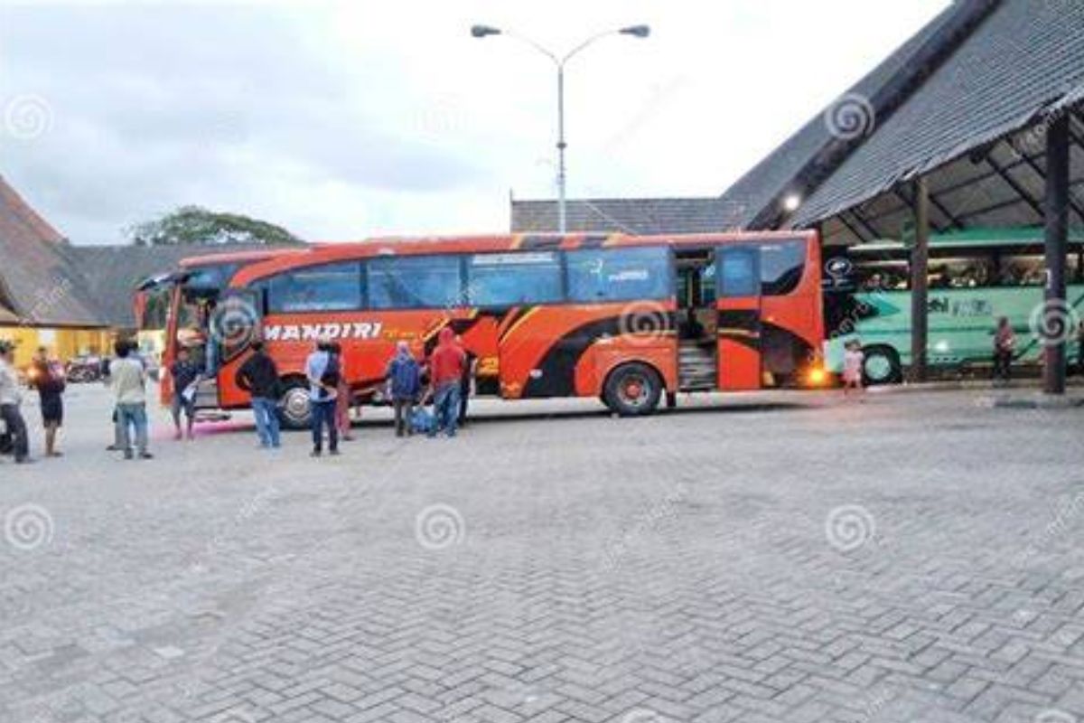 Terminal Bus Makassar: Panduan Rute, Lokasi, dan Tips Berangkat